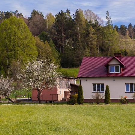 U Jadzi Pogorze Przemyskie Bircza Extérieur photo