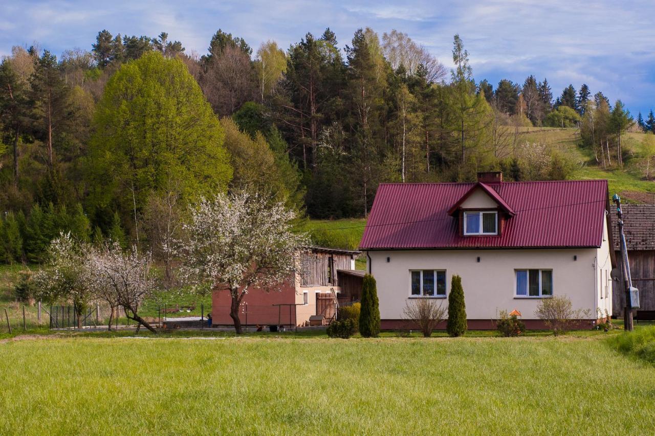 U Jadzi Pogorze Przemyskie Bircza Extérieur photo